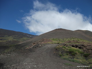 Monte_Nero_delle_Concazze - 30-06-2013 10-23-15.JPG